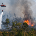 Indonesia Aktifkan Kembali Desk Karhutla untuk Antisipasi Ancaman El Niño